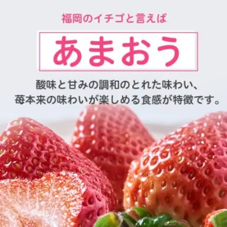 【2027年発送先行受付】フルーツ専門店が選んだ「あまおう苺」春250g×2パック(大野城市)【配送不可地域：離島】【1750231】