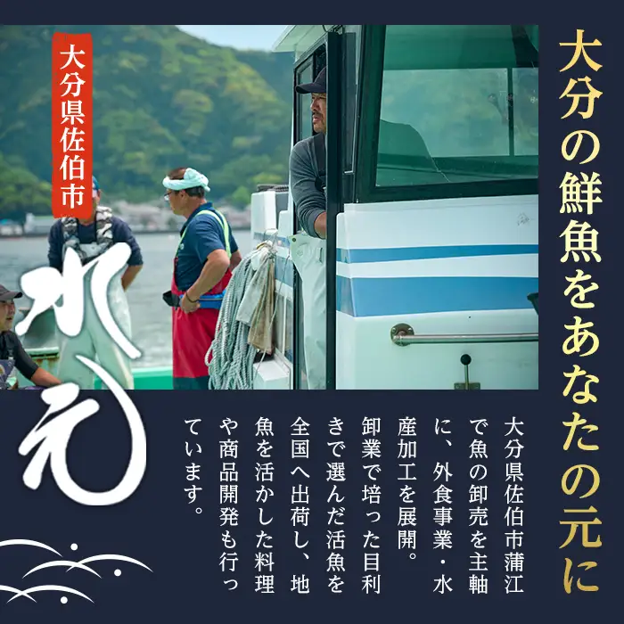 ＜先行予約受付中！2026年11月より発送予定＞ 大分県産 美人鰤 フィレ (2枚・1枚あたり1.5kg以上) 刺し身 ぶりしゃぶ 冷蔵 ブリ ぶり 半身 国産 海鮮 魚 【opbe016】【水元】