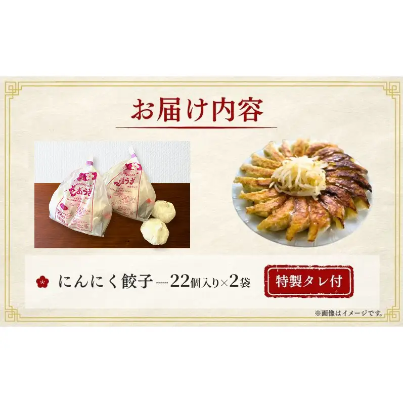 にんにく餃子44個(22個×2袋) 餃子 冷凍餃子 冷凍ギョーザ 手作り餃子 ギョーザ 点心 中華 中華料理 惣菜 簡単調理 加工食品 静岡県 森町