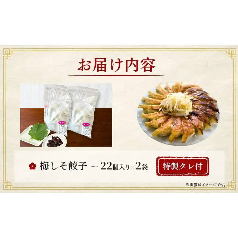 梅しそ餃子44個(22個×2袋)12か月連続お届け 餃子 冷凍餃子 冷凍ギョーザ 手作り餃子 ギョーザ 点心 中華 中華料理 惣菜 簡単調理 加工食品 静岡県 森町