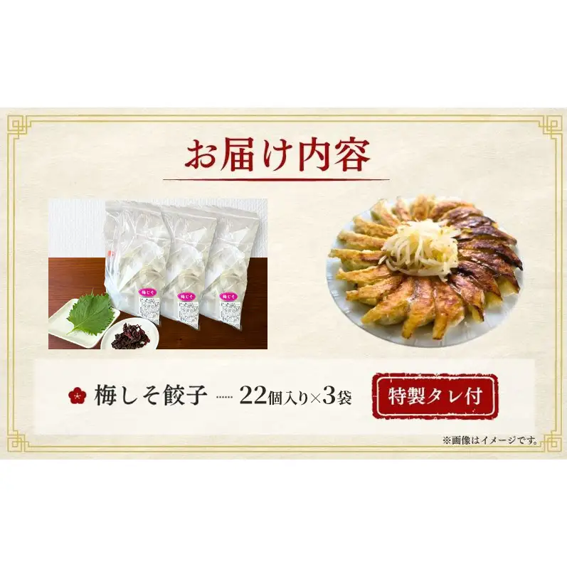 梅しそ餃子66個(22個×3袋)6か月連続お届け 餃子 冷凍餃子 冷凍ギョーザ 手作り餃子 ギョーザ 点心 中華 中華料理 惣菜 簡単調理 加工食品 静岡県 森町
