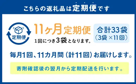【1ヶ月毎11回定期便】 カムカムおこめチップス（しお） チャック付袋タイプ 計33個  （3個×11回） お菓子 菓子 スナック菓子
