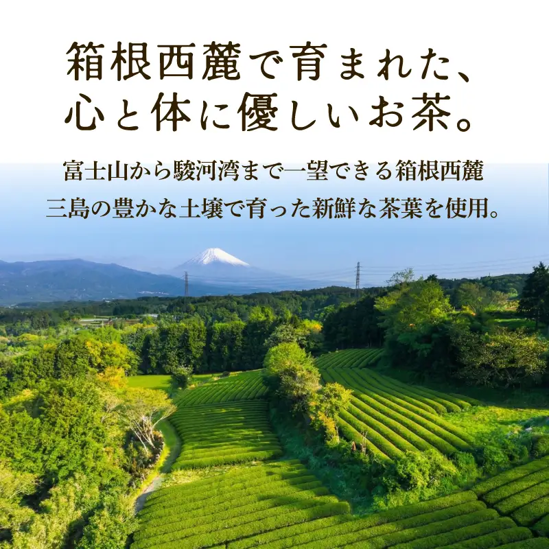 【ギフト箱入】静岡産 特煎茶 300g (100g×3袋) 国産 緑茶