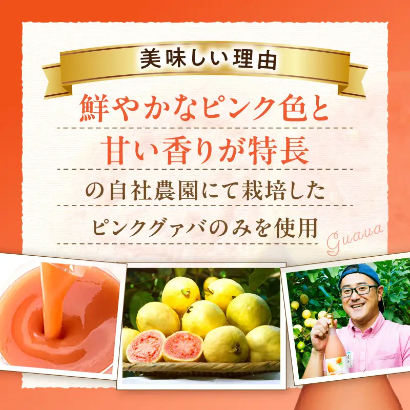驚きの果実感！ グァバドリンク２本セット (720ml×2本)_K021-012
