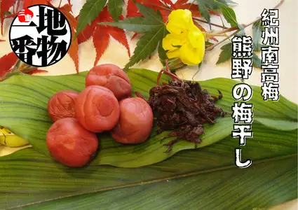 昔ながらのすっぱい しそ漬け梅干し 110g×5【frsn0003】