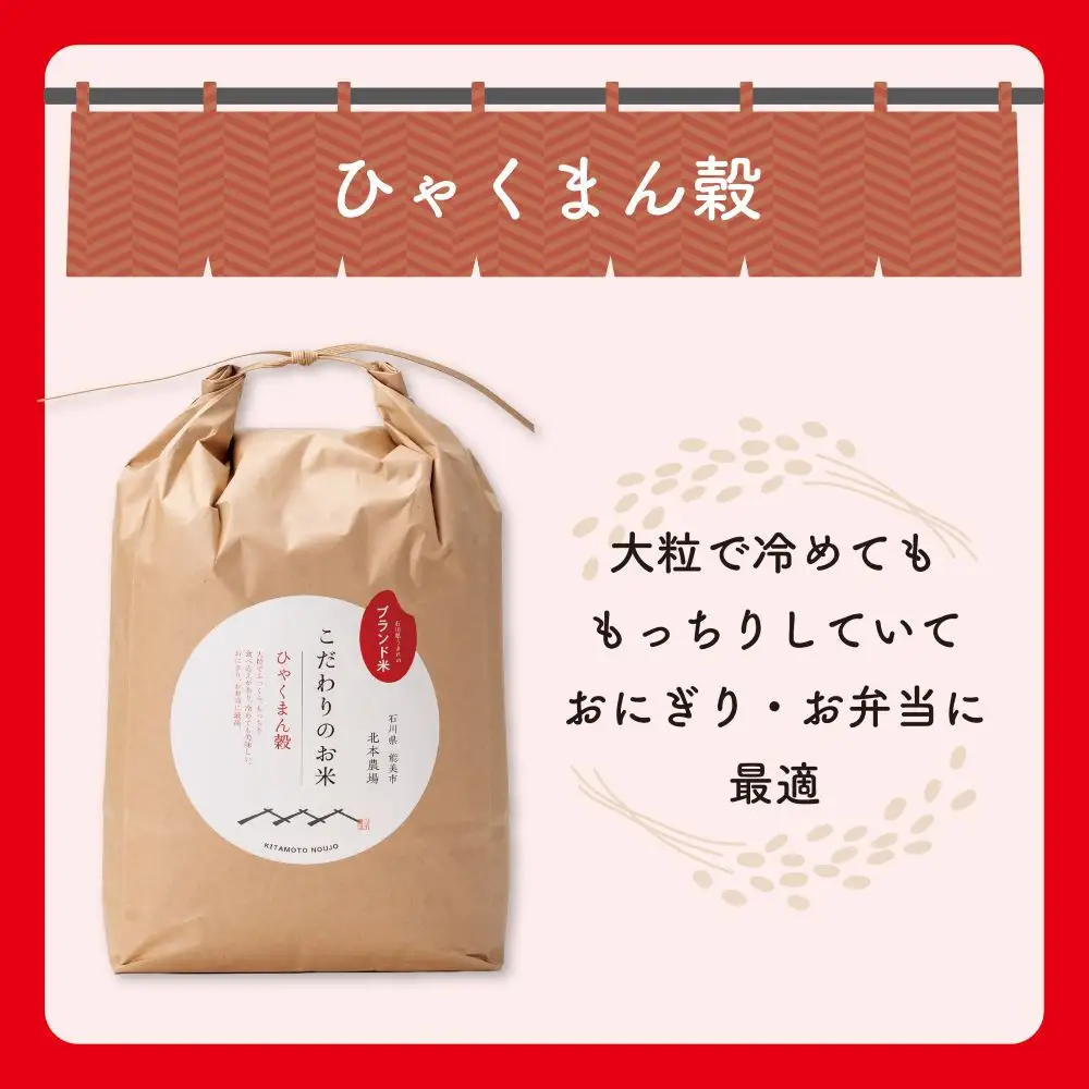 【定期便3回】北本農場のお米石川県のオリジナル米 白米5g ひゃくまん穀