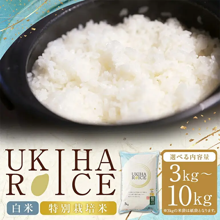 米 白米 精米 UKIHA RICE ヒノヒカリ 令和7年産 10kg 株式会社みずほファーム