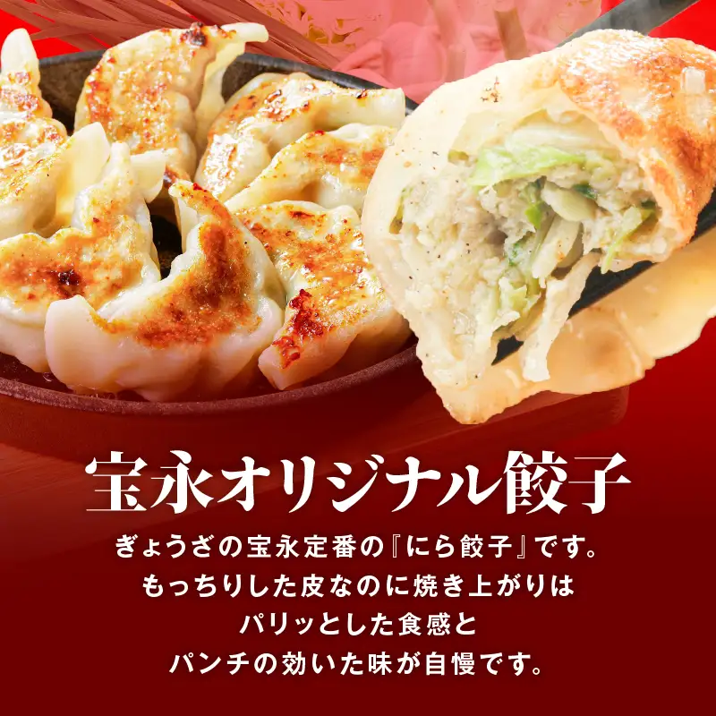 手包み餃子 ぎょうざの宝永 宝永餃子20個セット（宝永餃子10個入×2袋） T004-003-02 惣菜 総菜 餃子