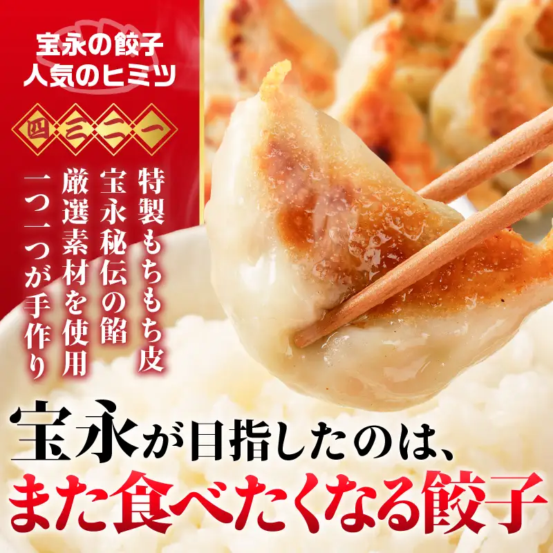 【定期便・全6回 毎月】手包み餃子 ぎょうざの宝永 5種食べ比べセット（65個入） T004-T07-04 定期便 定期 惣菜 総菜 餃子