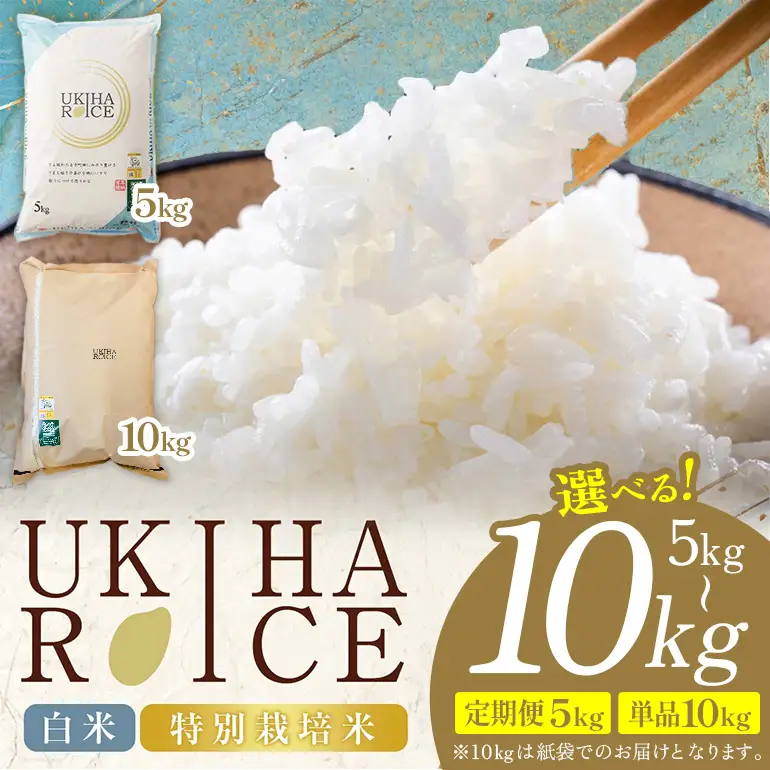 【12ヶ月定期便】 米 白米 精米 UKIHA RICE 白米 5kg×12回 特別栽培米 計60kg ヒノヒカリ 令和8年産 新米 みずほファーム A06-009