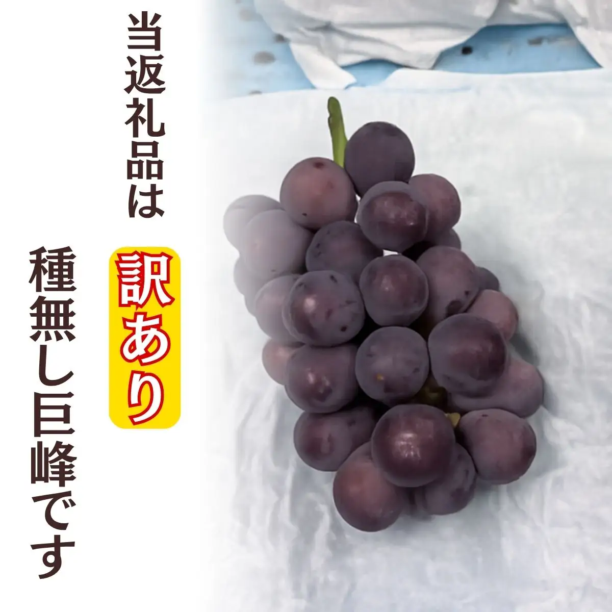 訳アリ 種無し巨峰 約3kg  | 訳あり