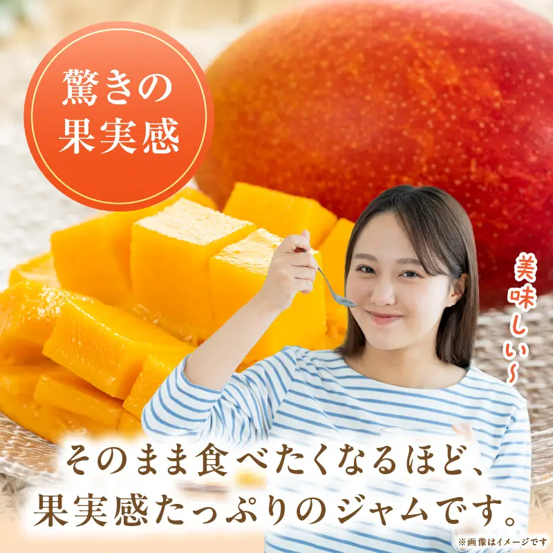 フルーツジャム マンゴー(合計10個・各140g)_K021-033