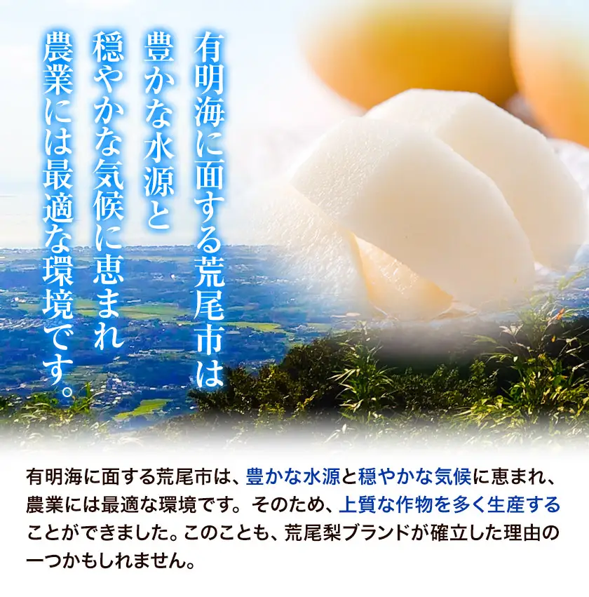 梨 荒尾梨 1kg 旬の品種