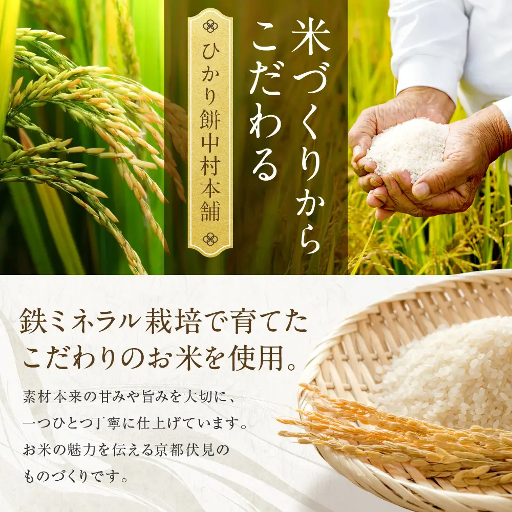 ひかり餅中村本舗 京都伏見 純米大吟醸 大地を照らす 光酒～MICHU～ 720ml×3本 日本酒 山本本家 人気 おすすめ