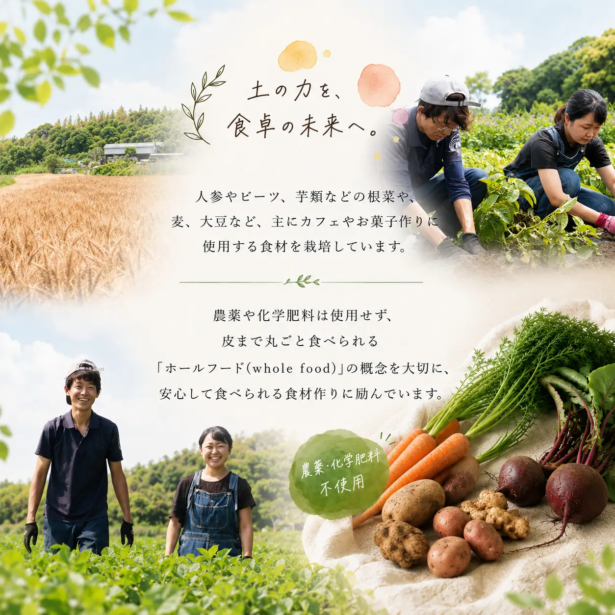 豆 大豆 3kg だいず