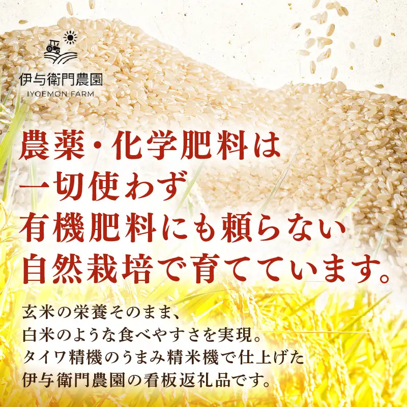 【先行予約】【令和8年産】定期便 ≪12ヶ月連続お届け≫ 自然栽培米コシヒカリ うまみ玄米5kg×12回（計60kg） 化学肥料不使用  ＜温度と湿度を常時管理し新鮮米を出荷！＞／ 高品質 鮮度抜群 福井県あわら産 ブランド米 お米 ※2026年10月下旬以降順次発送 [aw071-o008]