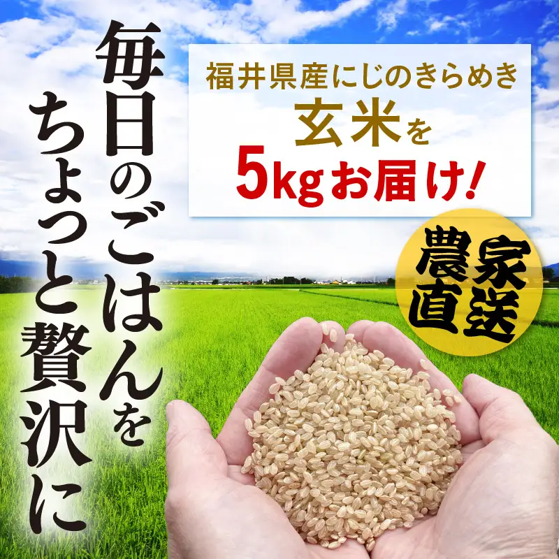 【令和8年産】 にじのきらめき 玄米 5kg／ 鮮度抜群 5キロ 福井県あわら産 玄米 お米 [aw071-a013]