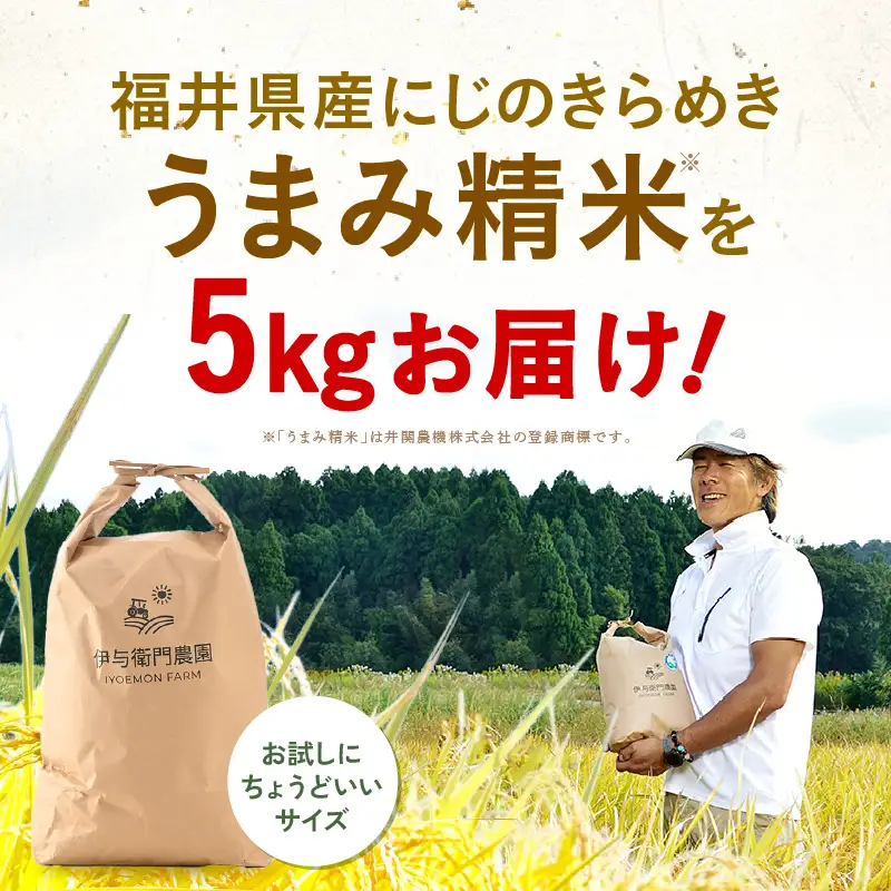 【先行予約】【令和8年産】 にじのきらめき うまみ精米 5kg／ 鮮度抜群 5キロ 福井県あわら産 お米 ※2026年9月下旬より順次発送 [aw071-a014]
