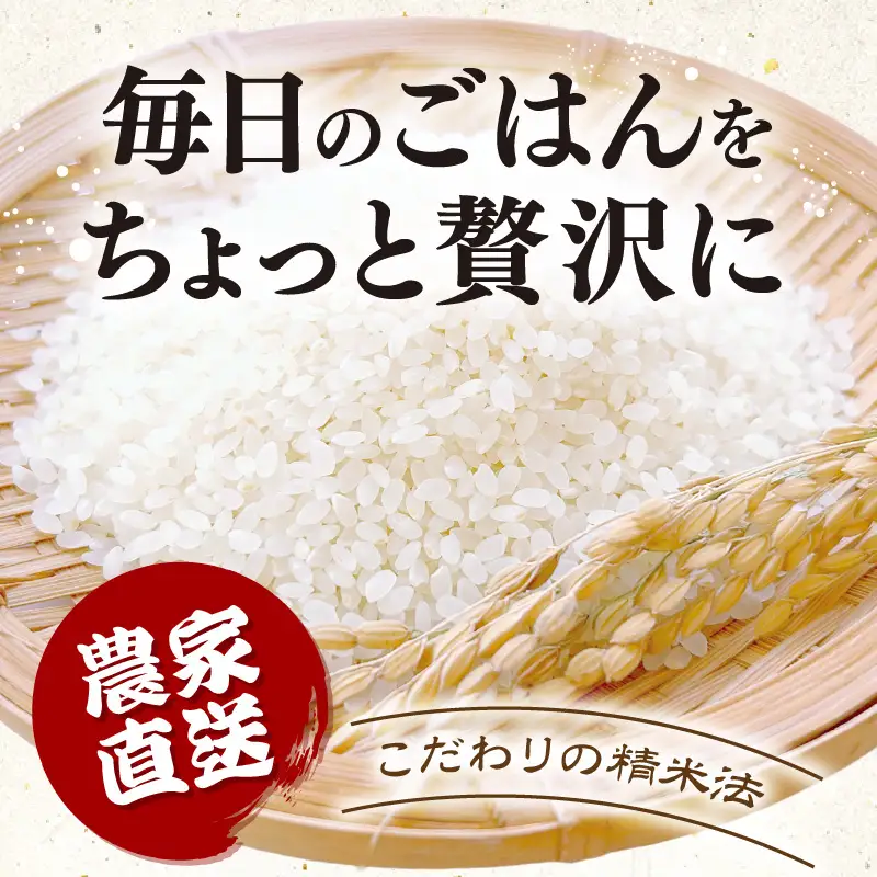 【先行予約】【令和8年産】 定期便 ≪12ヶ月連続お届け≫ にじのきらめき うまみ精米 5kg×12回／ 鮮度抜群 60キロ 福井県あわら産 お米 ※2026年10月上旬より順次発送 [aw071-k005]