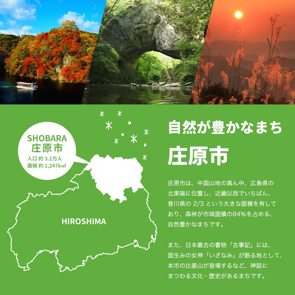 返礼品なしの寄附（寄付金額 500,000円）広島県庄原市の未来の為の応援寄附