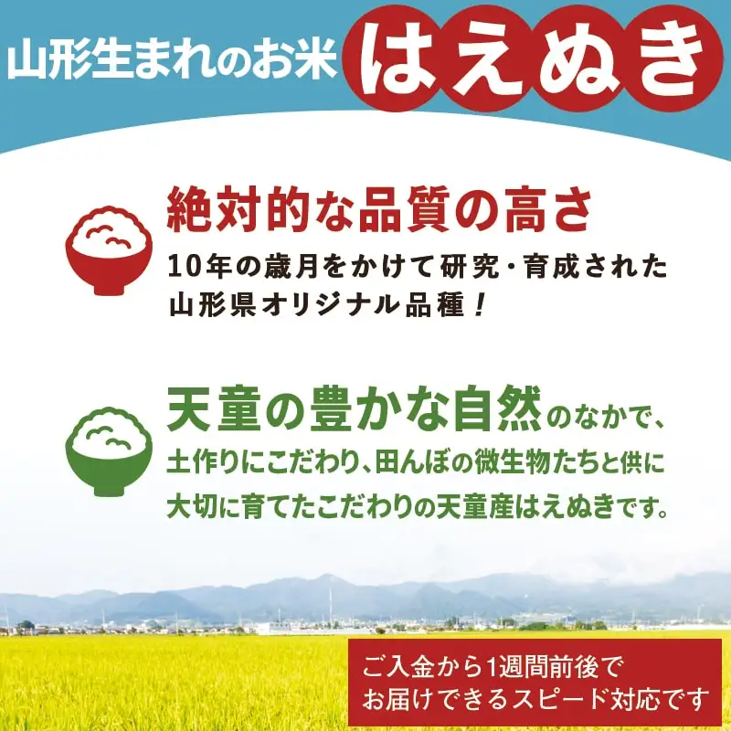はえぬき 4kg (2kg×2袋) 令和8年産 山形 米 精米
