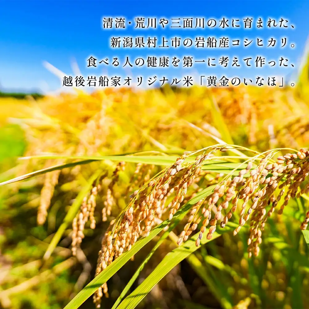 【新米受付・令和8年産米】自然豊かな風土が育んだ新潟県村上市岩船産コシヒカリ2kgと杵つき黄金もち4枚（200g）×5袋セット　1017004N