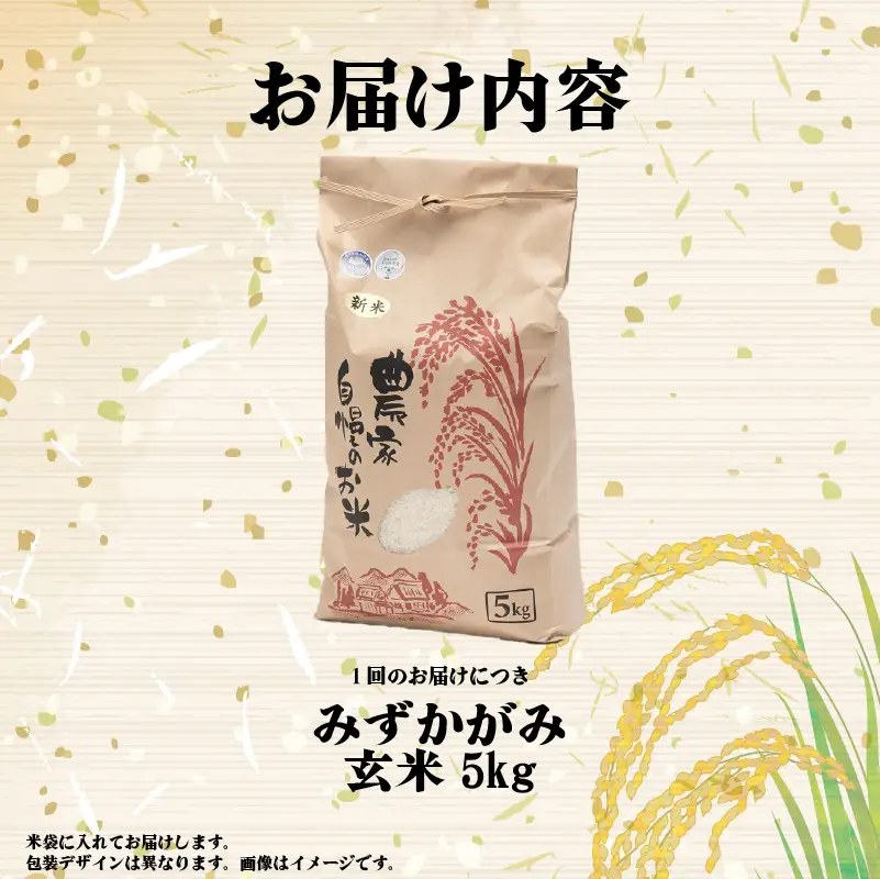 【先行予約】令和8年産 新米 みずかがみ 5kg 定期便 6ヶ月 玄米 米 