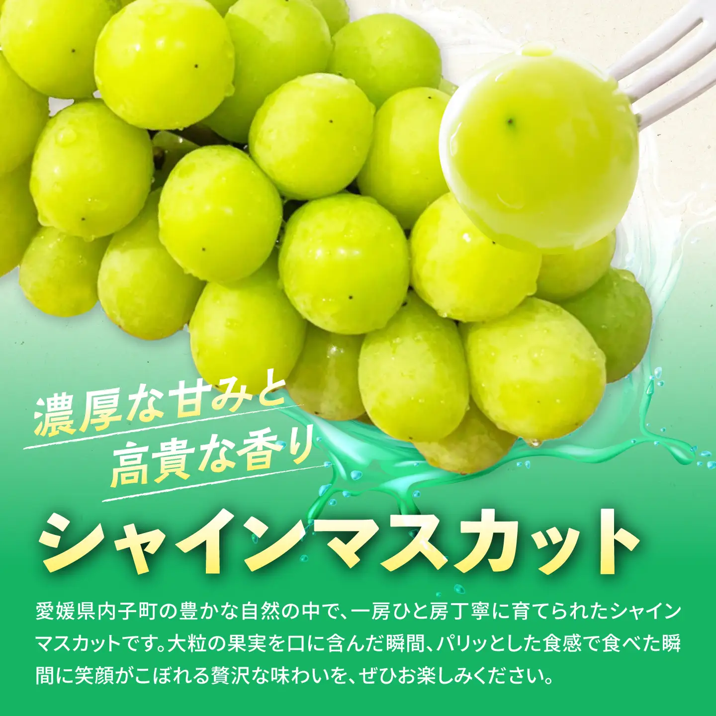 【先行予約】シャインマスカット 2kg (3～4房) BKCS003