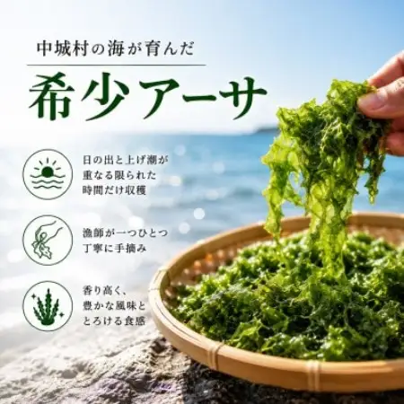 中城村の海の香り 厳選プレミアムアーサ 20g×3袋【1769043】