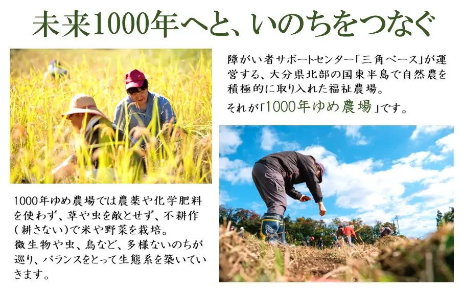 国東産「桑の葉玄米茶」ティーバッグ 5g×10包入り×3袋(合計30包)_2777R
