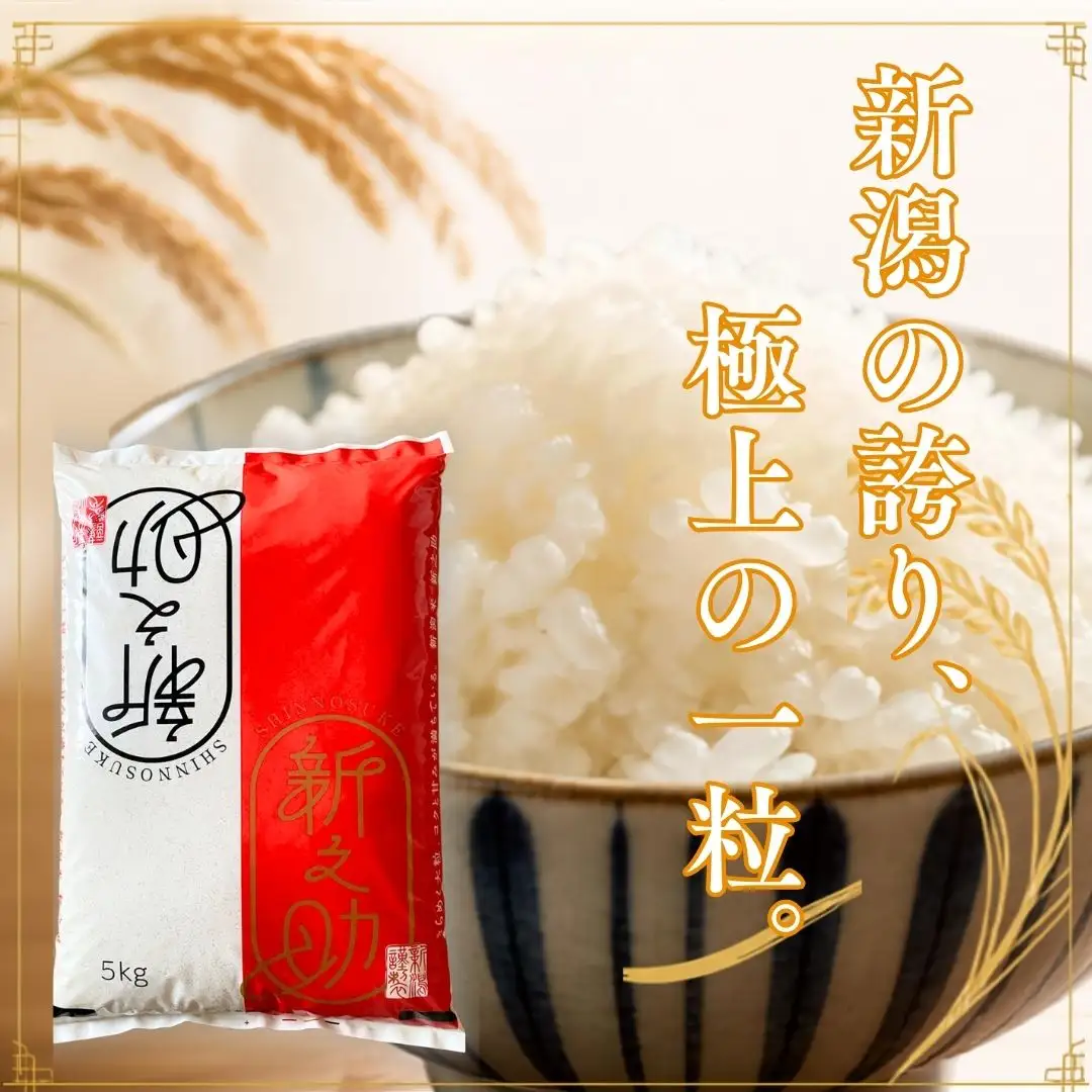 先行予約 定期便 新之助5kg × 3回 新潟県産 令和8年 しんのすけ 精米