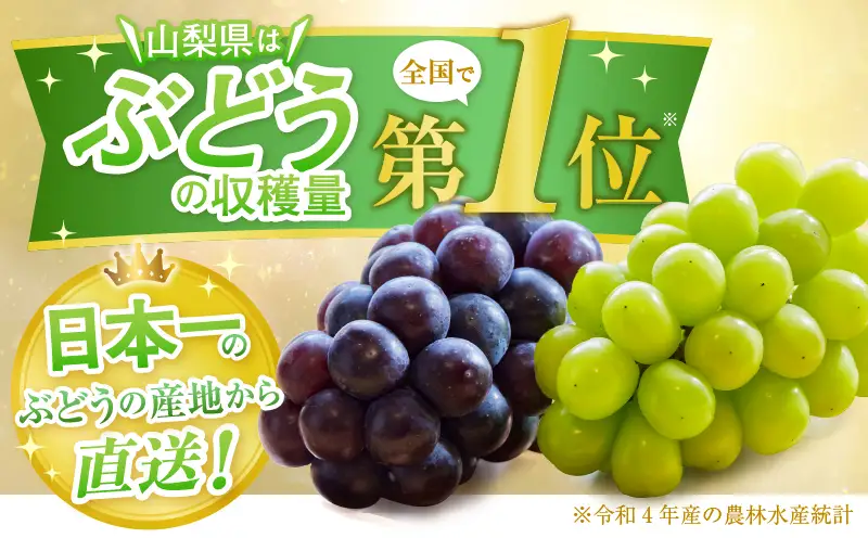【定期便】甲州市産厳選旬のシャインマスカット1kg以上2房×3回【2027年発送】（MG）D33-101 シャインマスカット フルーツ