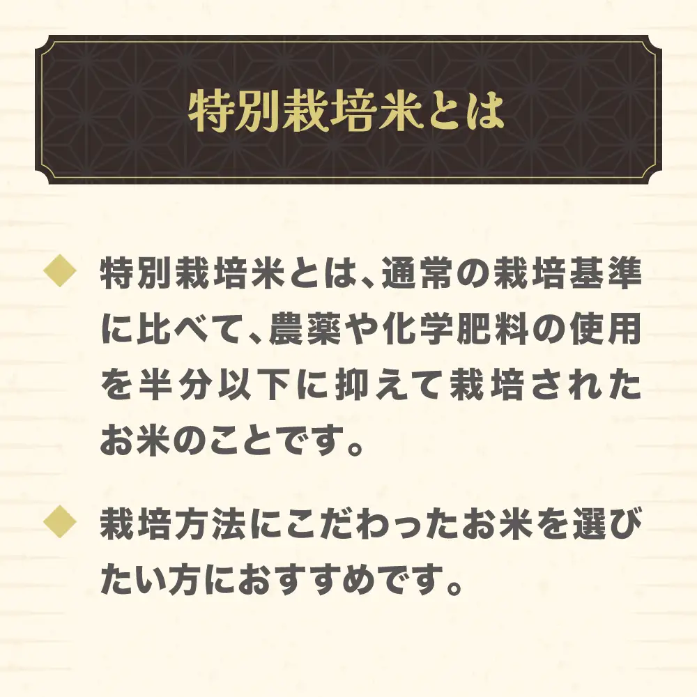 新米 つや姫 精米 5kg 令和8年産 on-tsxxb5