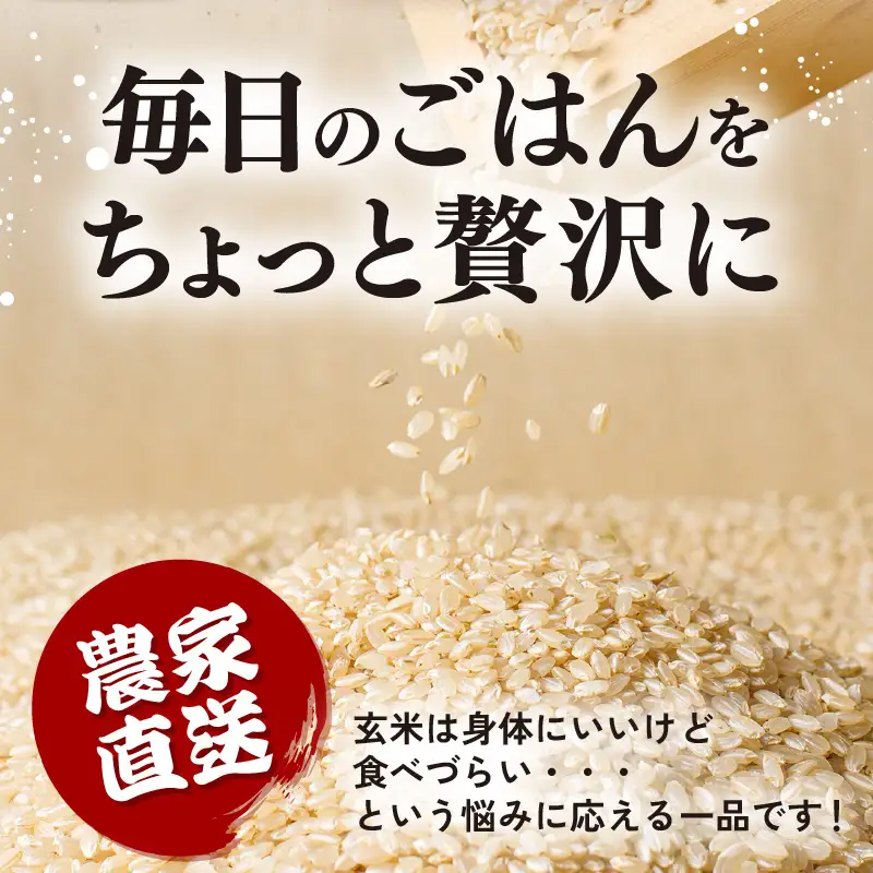 【先行予約】【令和8年産】定期便 ≪6ヶ月連続お届け≫ にじのきらめき うまみ玄米 5kg×6回 ／ 鮮度抜群 30キロ 福井県あわら産 玄米 お米 ※2026年10月上旬より順次発送 [aw071-g003]