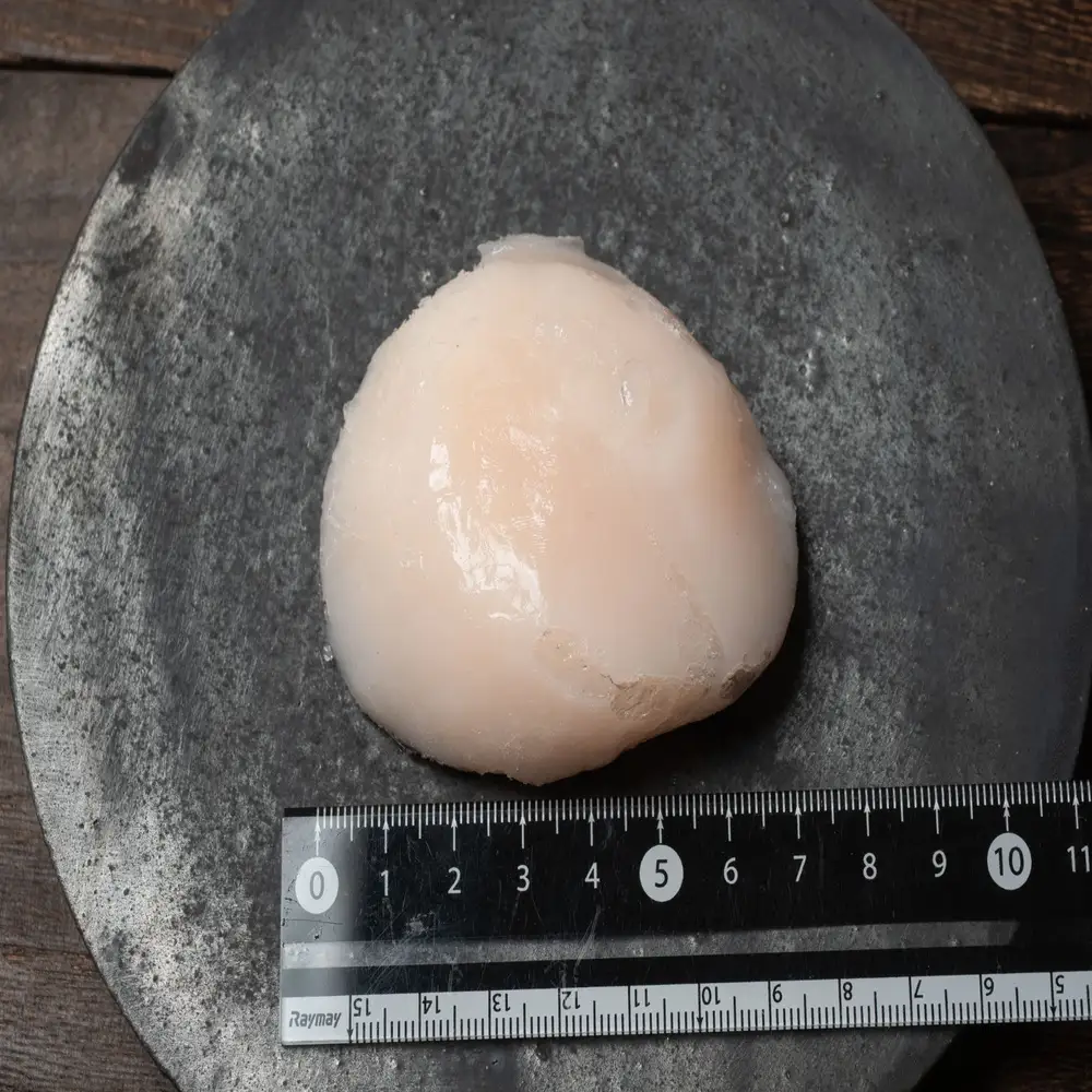 ホタテ 2Lサイズ500g(8～10粒入)  3パック 