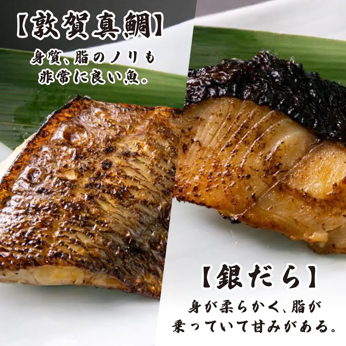 自家製 味噌漬け焼魚 おまかせ食べ比べセット（3～6種・計6切）[007-a008]