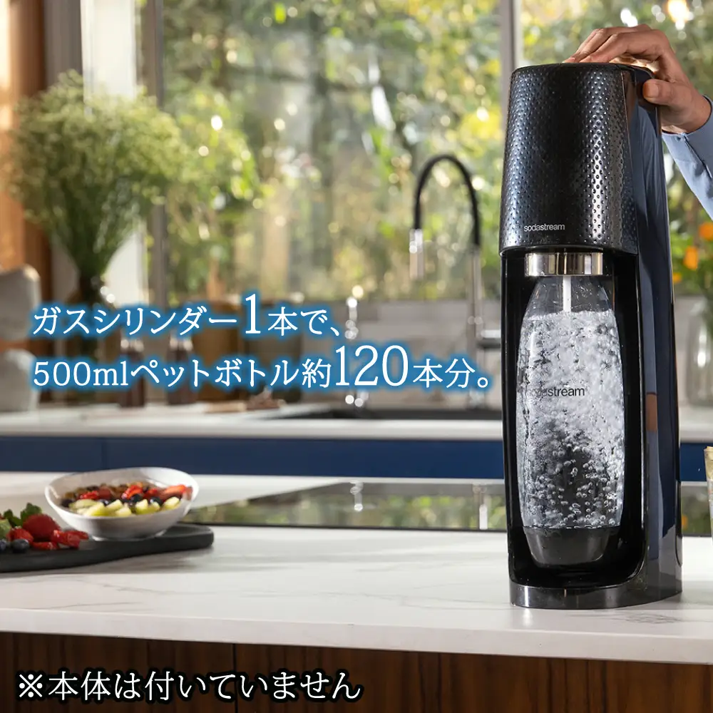 【2本×2回定期便】ソーダストリーム ガスシリンダー交換用60L [MDN007] 炭酸水メーカー 炭酸