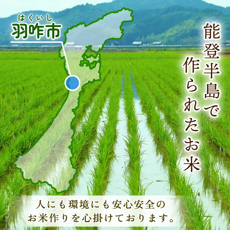 令和8年産 先行予約 新米予約 石川県産 コシヒカリ トキ米 精米 定期便 15kg ( 5kg × 3袋 ) × 3回 計 45kg 特別栽培米