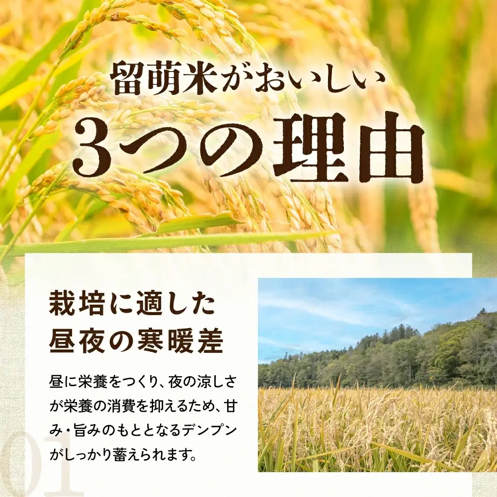 【新米予約】 令和8年産 ゆめぴりか 3kg 白米 北海道 留萌産