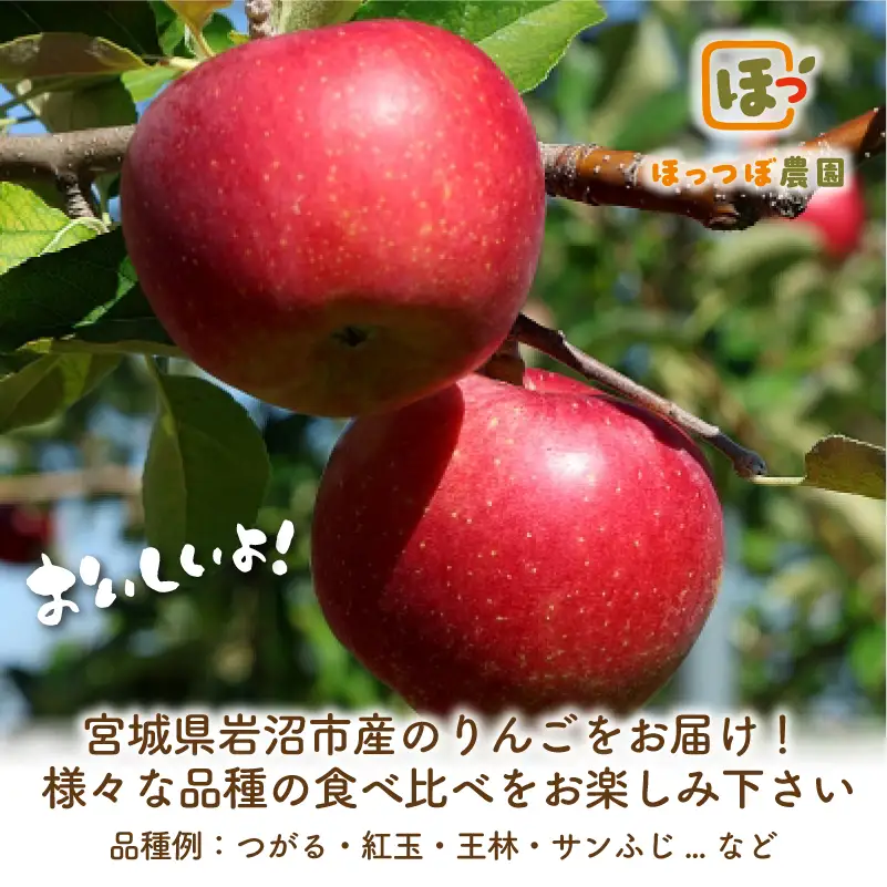先行予約 家庭用 りんご 品種おまかせ 5kg りんご