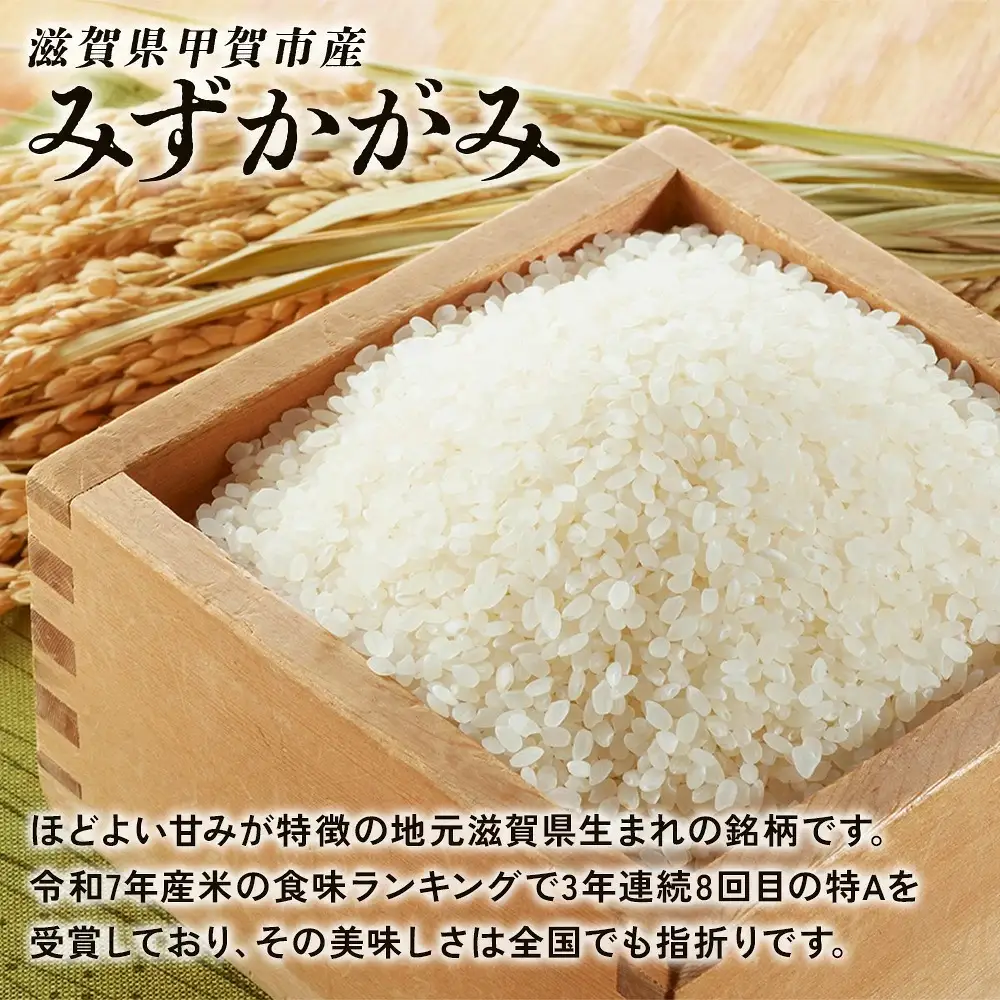【令和8年産 新米】【定期便】近江米みずかがみ 5kgx12回定期便（精米）