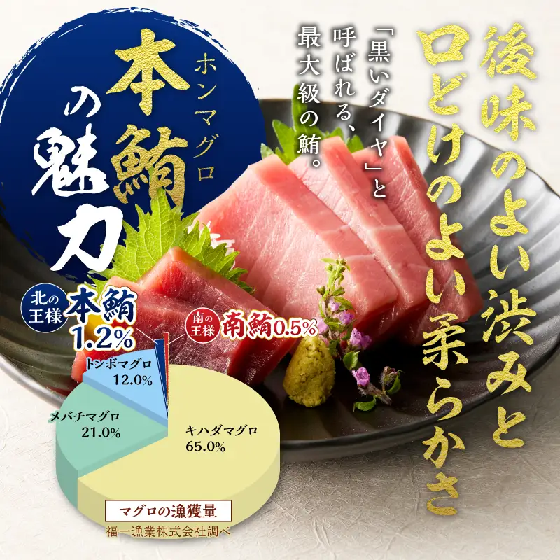 訳あり　本マグロ 天然 中トロ 500g (a14-150)