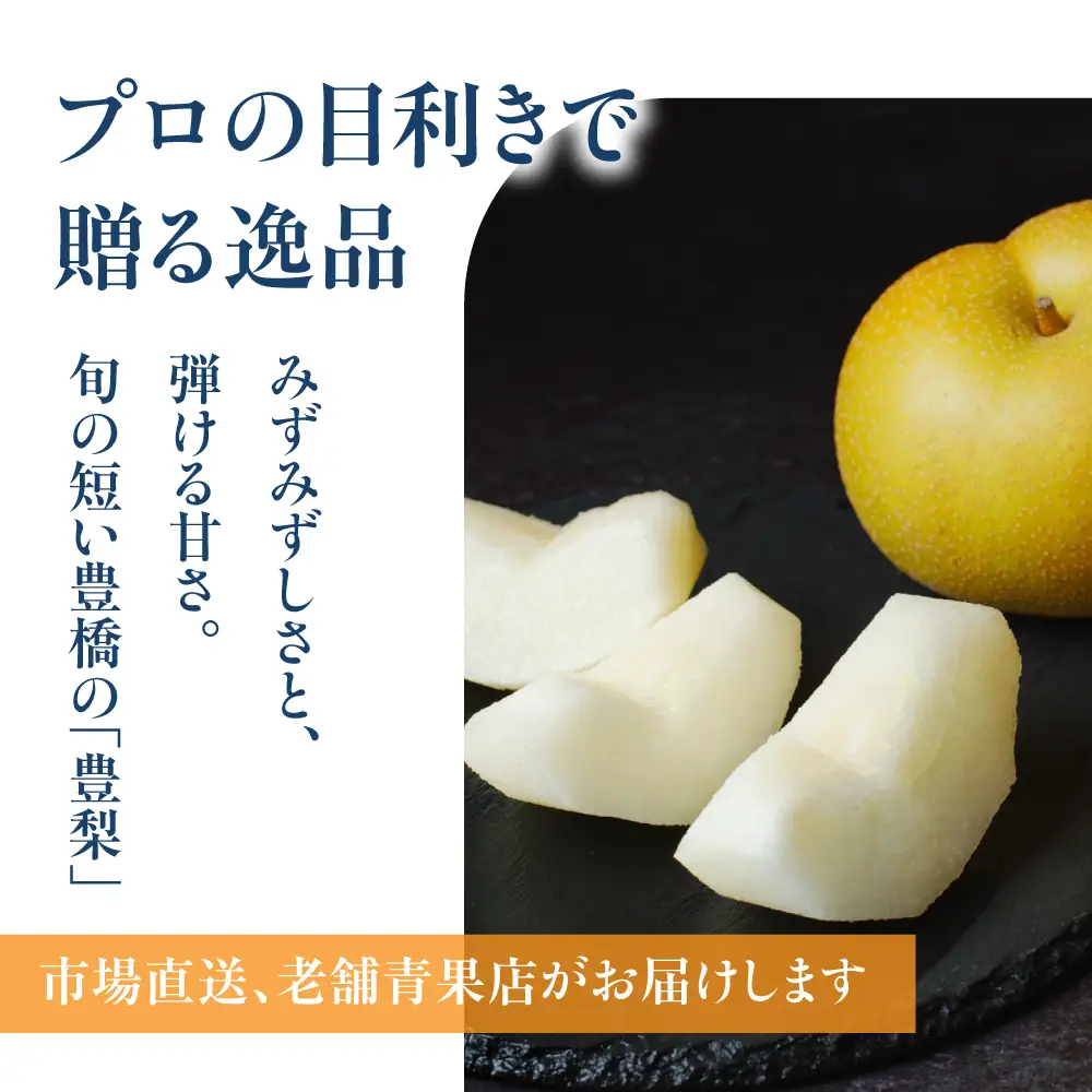 豊橋市産 梨 2.5kg（5～8玉・品種おまかせ） 産地直送 旬の品種 幸水 豊水 秋月 新高