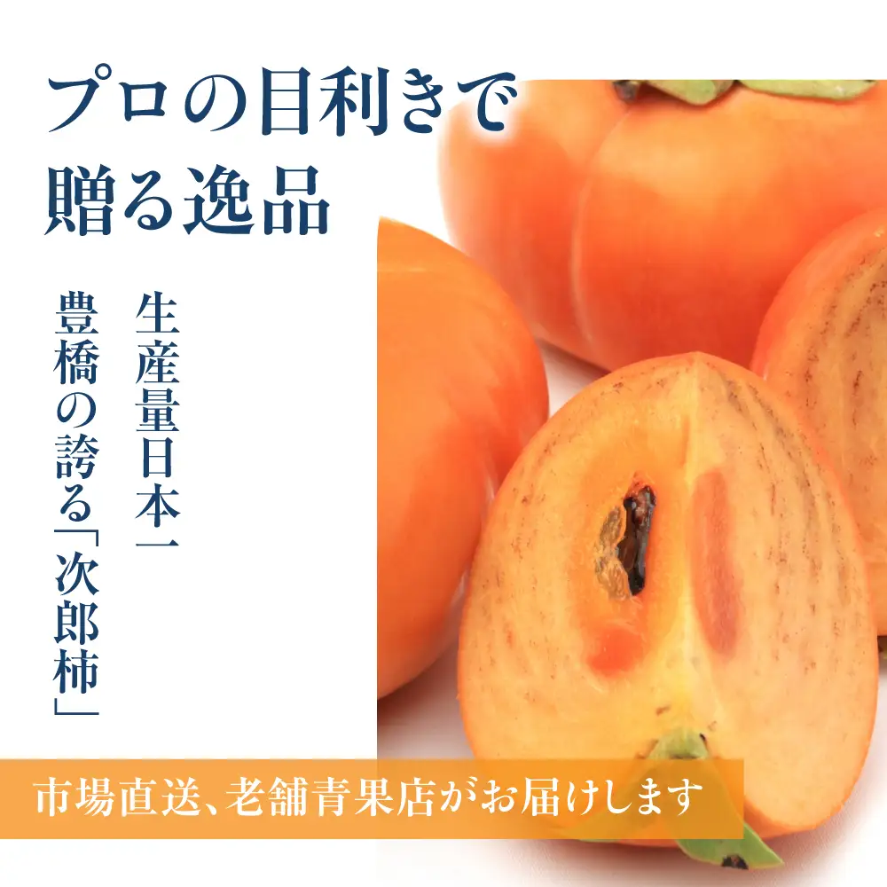豊橋市産 次郎柿 お試し用 1.3kg 産地直送