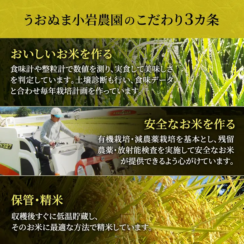 令和8年産 先行予約 魚沼産ミルキークィーン 精米5kg 米 こめ お米 コメ ミルキー クイーン 新潟県 魚沼市 魚沼 ミルキークイーン 