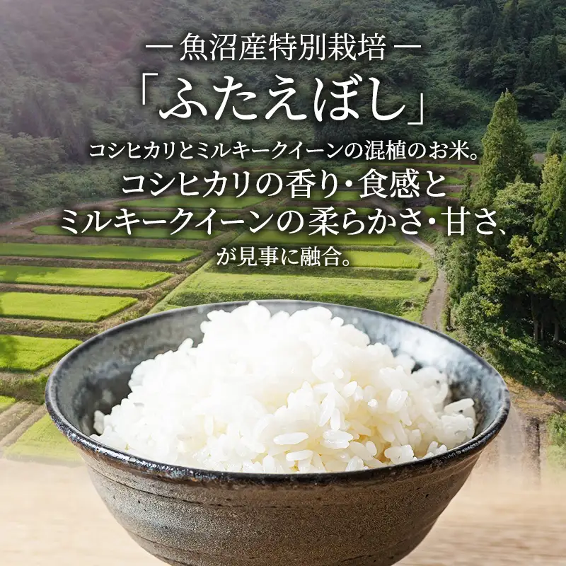 令和8年産 先行予約　魚沼産特別栽培ふたえぼし 精米5kg 米 こめ お米 コメ ふたえぼし 新潟県 魚沼市 魚沼 特別栽培米 