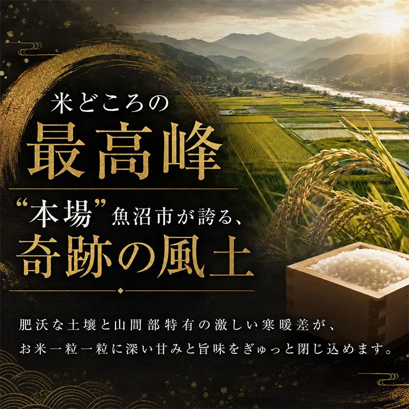 【令和8年産 先行予約】 魚沼産コシヒカリ 精米 30kg（5kg×6）
