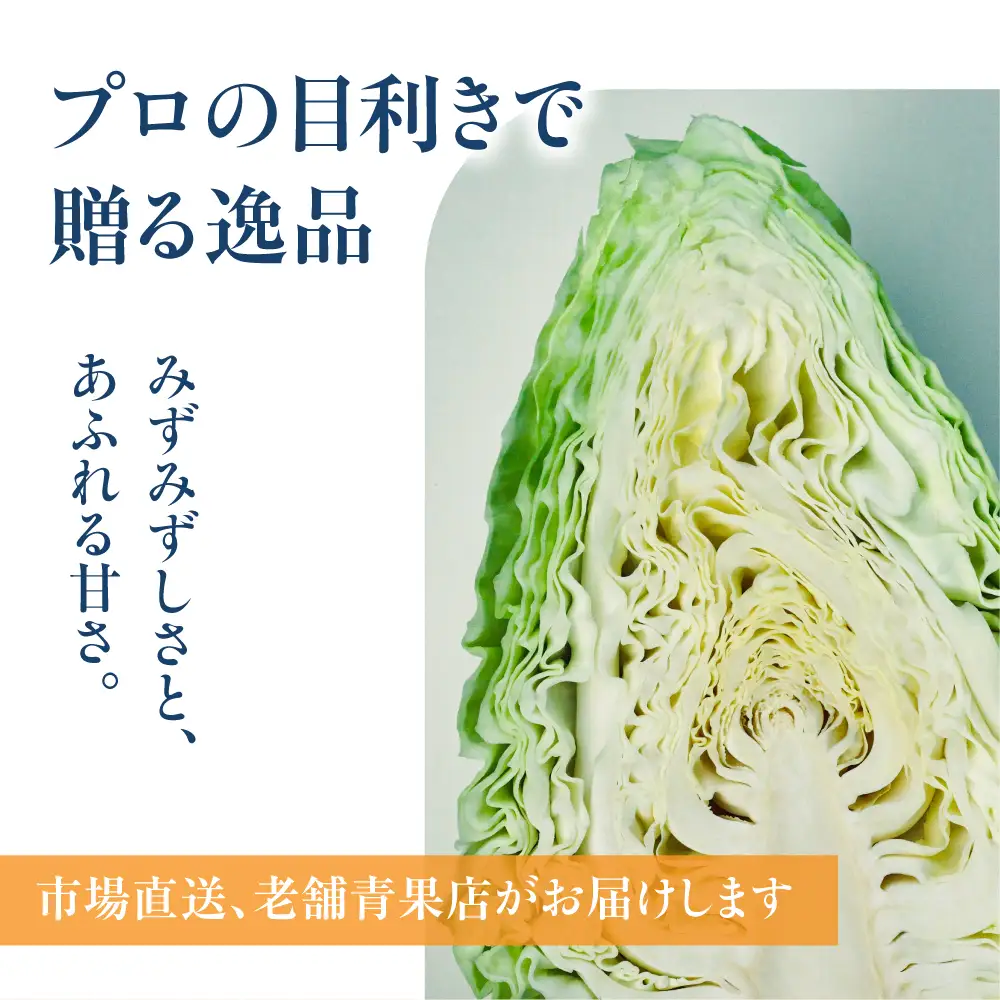 《先行予約》豊橋市産 キャベツ 3玉（計3.5kg） 産地直送