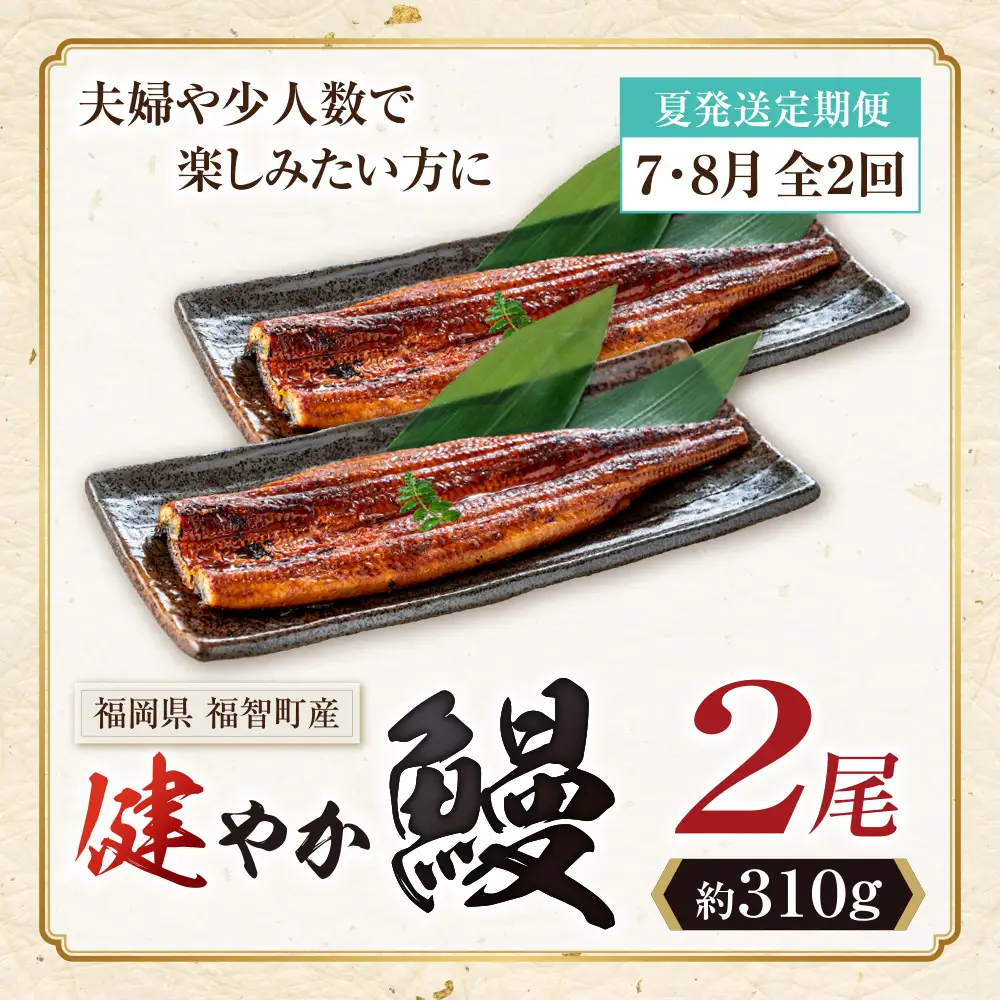 Z61-319 健やか鰻 国産うなぎ蒲焼 (無頭) 2尾 (計310g以上) ★定期便・夏発送★