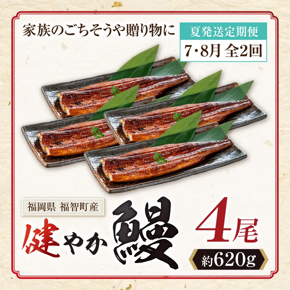 Z61-321 健やか鰻 国産うなぎ蒲焼 (無頭) 4尾 (計620g以上)  ★定期便・夏発送★